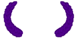 Screened Indie S.F.M.A Festival 2010